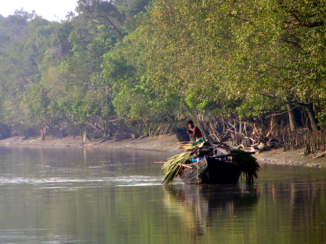 bangladesh.png