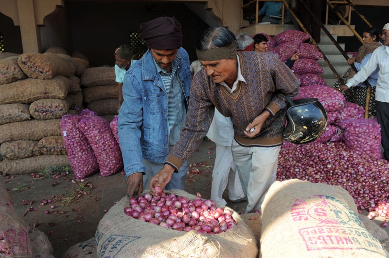Indian traders check the quality of onions at the Agricultural Produce Market Committee (APMC) in Ahmedabad on December 21, 2010. India suspended exports of onions, a key food staple, after prices of the vegetable soared, adding to the government's inflation woes. (Sam Panthaky/AFP/Getty Images)