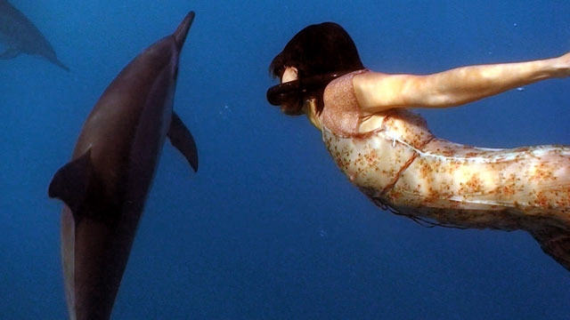 Still from 'Together: Dancing with Spinner Dolphins.' (Dolphin Dance Project)