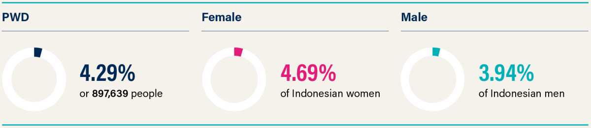 Indonesia Disability Statistics