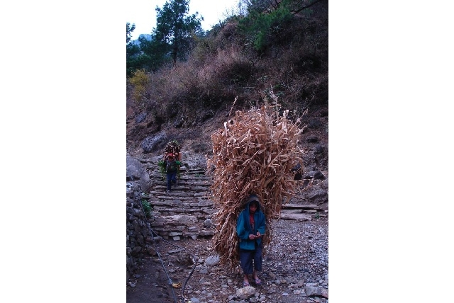 Child labour Nepal (most uncool/Flickr)