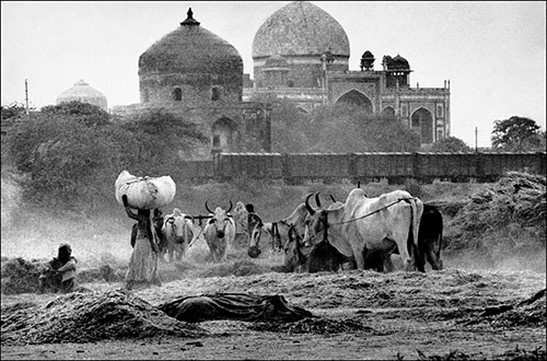 INDIA. Delhi. Threshing wheat behind Humayun's tomb. 1966 Raghu Rai / Magnum Photos