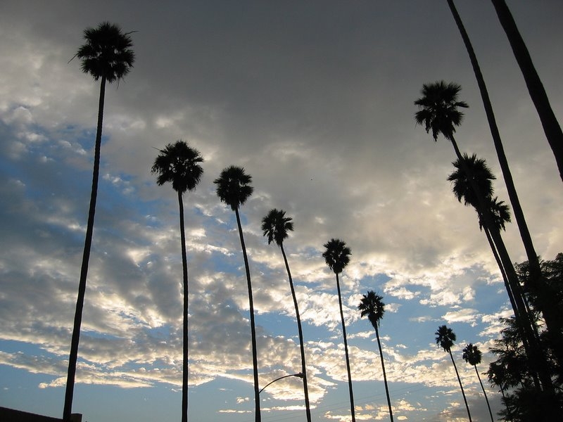 Los Angeles, CA. (tiarescott/Flickr)