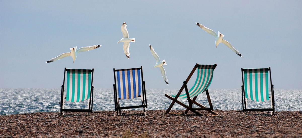 Seagulls and chairs at the beach