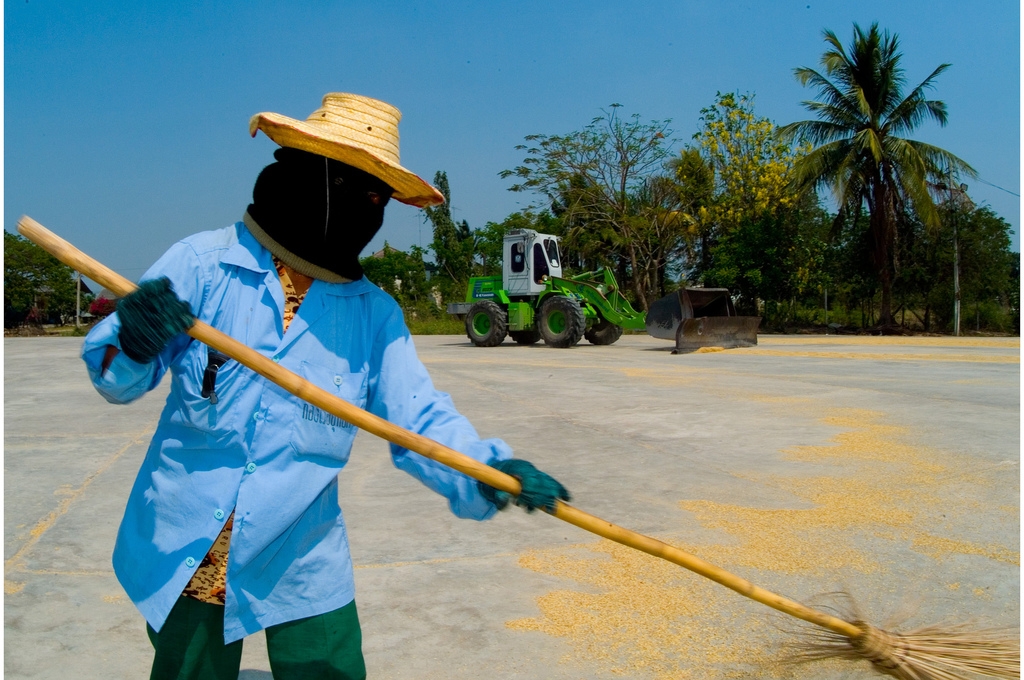 A worker sweeping rice grains being sun dried in a government owned wholesale rice paddy market in Thailand. (IRRI Images/Flickr)