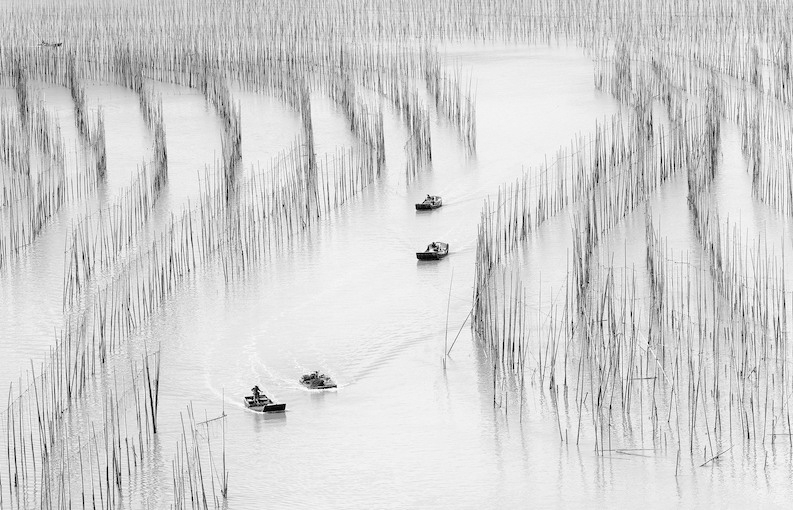 Xiapu Mudflats (Jay Huang/Flickr)
