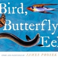 Bird, Butterfly, Eel 