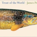 Trout of the world