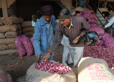 Indian traders check the quality of onions at the Agricultural Produce Market Committee (APMC) in Ahmedabad on December 21, 2010. India suspended exports of onions, a key food staple, after prices of the vegetable soared, adding to the government's inflation woes. (Sam Panthaky/AFP/Getty Images)