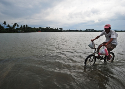 A man bikes through a flooded field in Laguna, Philippines on August 10, 2012. (IRRI Images/Flickr)