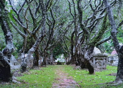 This canopy of trees provides a quiet sanctuary for the Old Protestant Cemetery in the bustling city of George Town, Penang, Malaysia on November 9, 2013. (Jiří 伊日/Flickr)