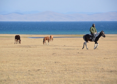 A horse rider gallops across the banks of Song Köl Lake, Kyrgyzstan on September 13, 2015. (Alex Keshavjee/Flickr)