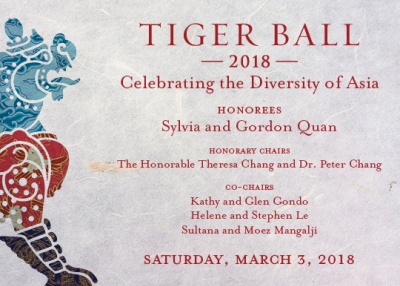 Tiger Ball 2018