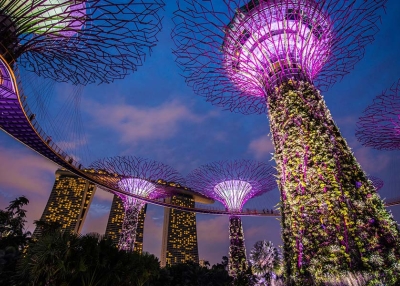 Disruptive Asia Launch - Singapore Supertrees - AdobeStock_95384140