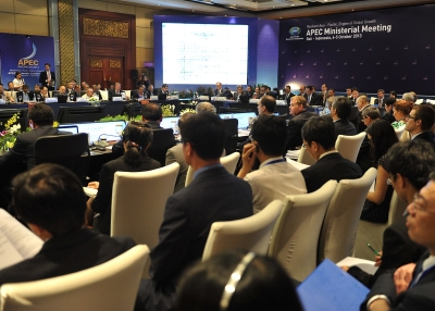 Crowd Image of APEC 2013 Ministerial Meeting