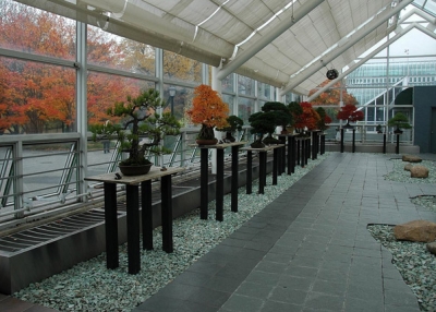 The C.V Starr Bonsai Museum at the Brooklyn Botanic Garden (FlatbushGardener/flickr)