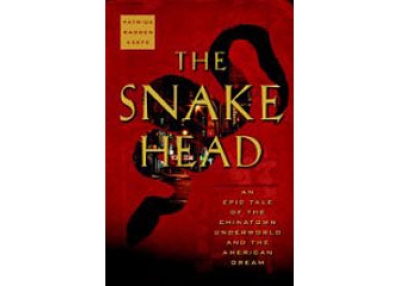 Patrick Radden Keefe's The Snakehead.
