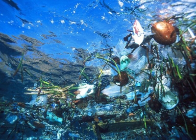 Trash in the Great Pacific. (cesar harada/Flickr)