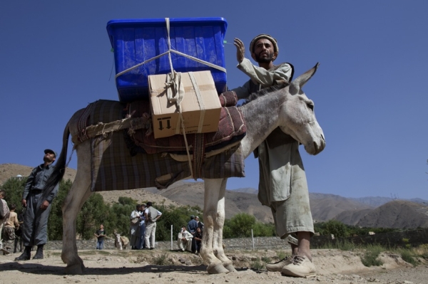 A donkey handler holds his donkey carrying election materials for Piyawisht village in Hisarak, in the Panjshir region of Afghanistan, on August 18. (Paula Bronstein/Getty Images)