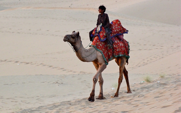 A boy crosses the Thar desert astride a camel in Rajasthan, India on October 22, 2012. (Nagarjun/Flickr)