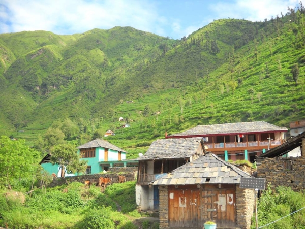 In this Odishsa village, both traditional (foreground) and more modern houses are scattered across the hills at heights up to 10,000 ft. (Sunil Kumar)