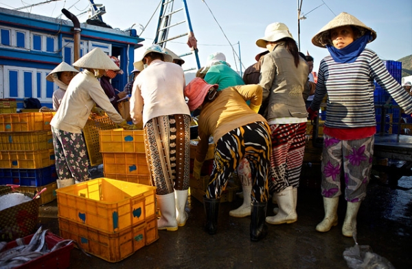 Bringing in the morning's fresh fish on the docks of Phu Yen in Vietnam on September 5, 2012. (Patrick Carpenter)
