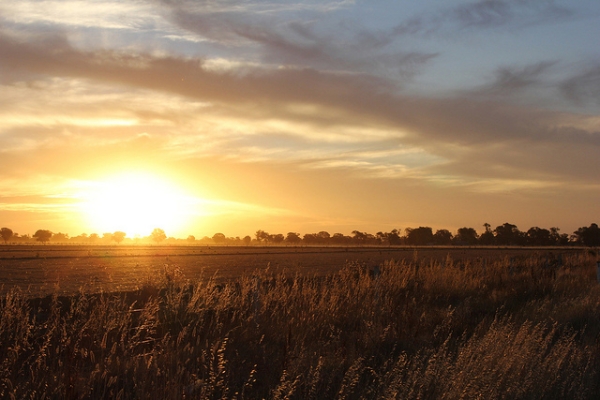 The setting sun casts a golden glow over open fields in Echuca, Australia on January 10, 2013. (JMillott/Flickr)