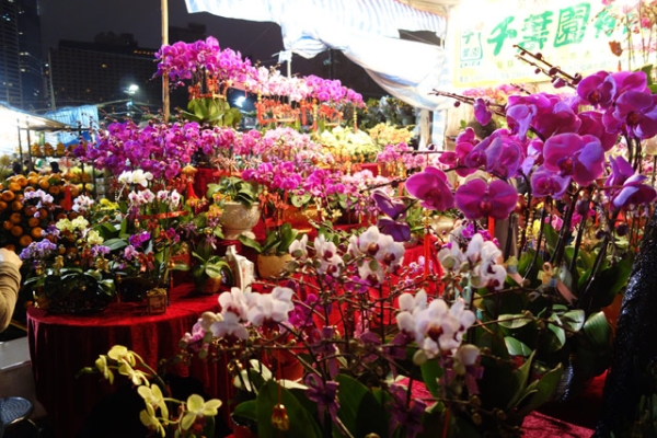 A vibrant plethora of flowers at the Lunar New Year Fair at Victoria Park in Hong Kong on February 7, 2013. (Wendy Tang/Asia Society)