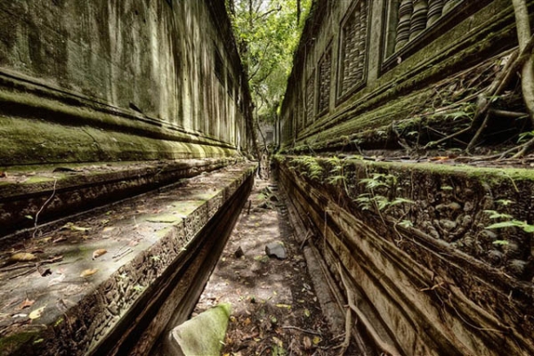 Moss covers the walls of an old temple in Cambodia on July 8, 2012. (Bo47/Flickr)
