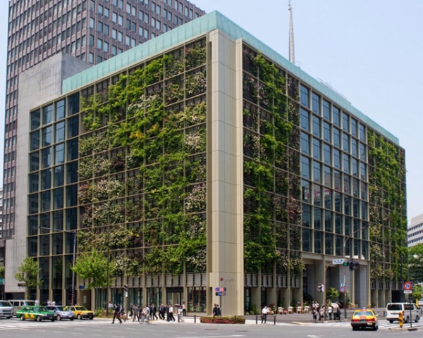 The exterior of Pasona Group's building in downtown Tokyo flowers with several varieties of citrus trees, displaying just a portion of the 200 species of fruits and vegetables that grow inside. (Kono Designs) 