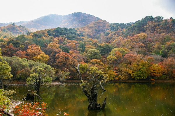 Vibrant fall foliage surrounds Jusanji Pond in Cheongsong, South Korea on November 1, 2013. (Jacob Hong/Flickr)
