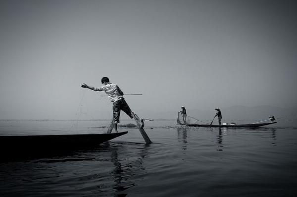 A fisherman throws his net into the water at Inle Lake, Myanmar on March 7, 2014. (Basil Strahm/Flickr)