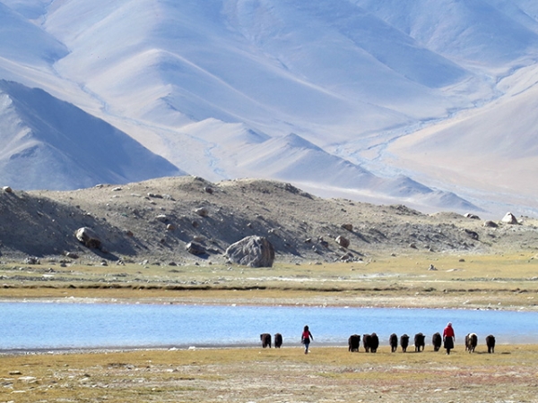 Mother and daughter, Kyrgyz nomads, herd yaks at Lake Karakul, Xinjiang Province, China in September 2013. (Gaik Ping Ooi)