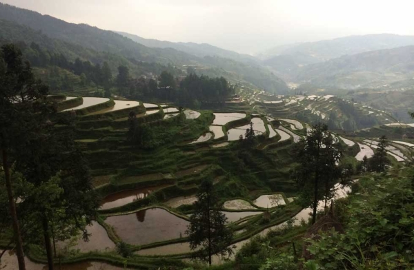 The rural Chinese village of Dimen, above, in southwest China’s Guizhou province, is home to the Dong minority — and the recently founded Dimen Dong Eco-Museum. (Ken Smith) 