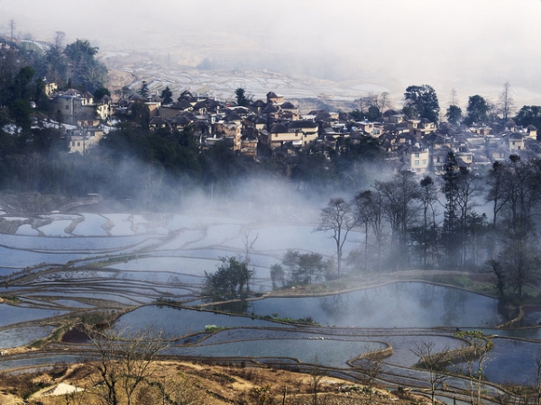 Fog blankets the Honghe Hani rice terraces in Yuanyang County, Yunnan, China on January 16, 2015. (inkelv1122/Flickr)
