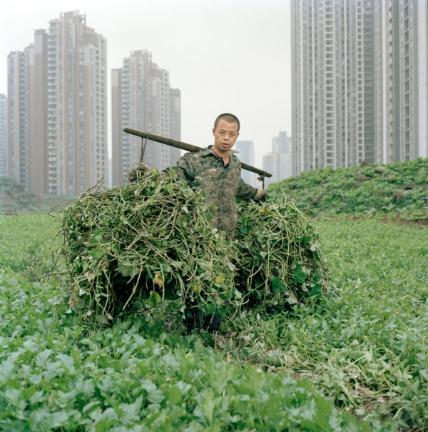 Wang Chengyun, a Chongqing resident, pauses for a photograph while helping his uncle clear an open plot on a construction site to use it for farming. (Tim Franco)