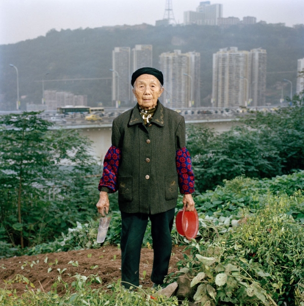 Zhong Baixin, 87, is cultivating a square meter of lettuce for her own table. She has lived all her life in Chongqing and now lives in what remains of a farming village stuck between a construction site and a road. (Tim Franco)