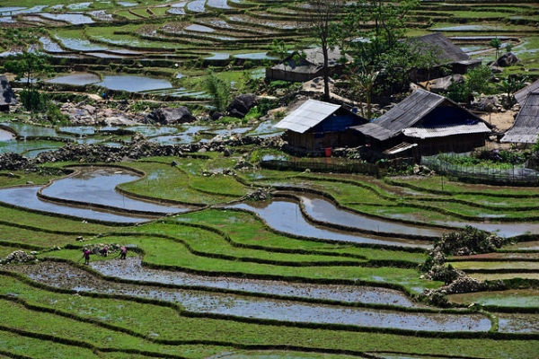 People are seen working in rice fields in Sapa, Vietnam on April 20, 2015. (Antonio Cinotti/Flickr)