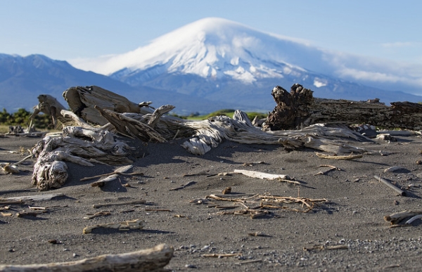 Strong winds blow the black sand along the beaches of coastal Taranaki and expose the broken driftwood deposits of storms long past in New Zealand on August 10, 2015. (Dave Young/Flickr)