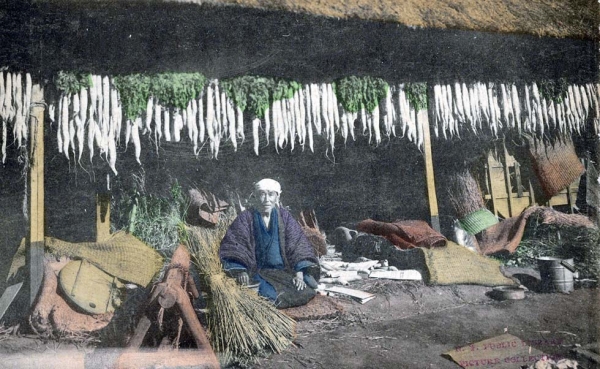 "Drying radishes. An old man basking in the sun." 1901-1907. (New York Public Library)