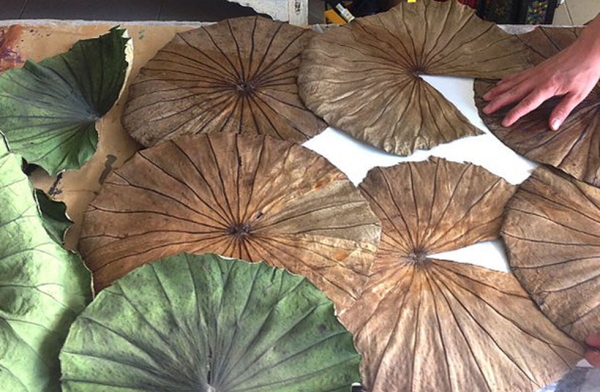 Himapan USA is a NYC based lotus-leaf painting workshop with a tradition that is firmly rooted in Thai culture. The studio will be doing a live demonstration in cooperation with Asia Society for the Museum Mile Festival. (Himapan USA)