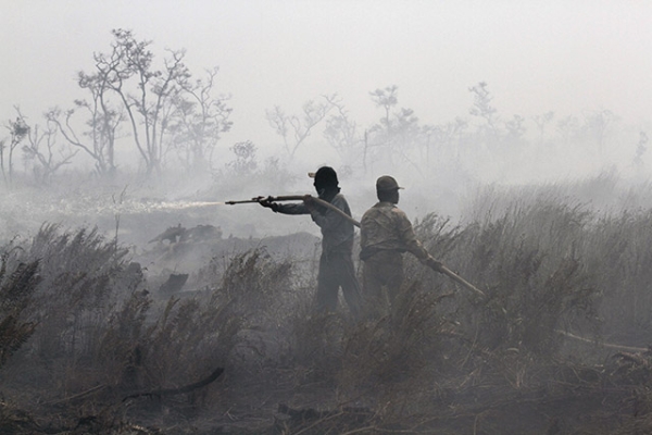 Indonesian firefighters work to extinguish a peatland fire in South Sumatra on September 11, 2015. (Abdul Qodir/AFP/Getty Images)