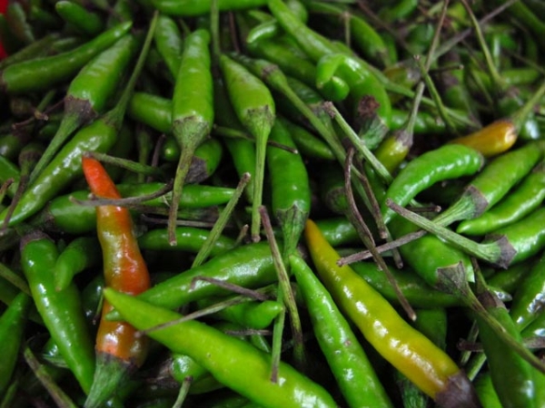 Bird's Eye Chili Peppers (Photo by Nate Gray/flickr)