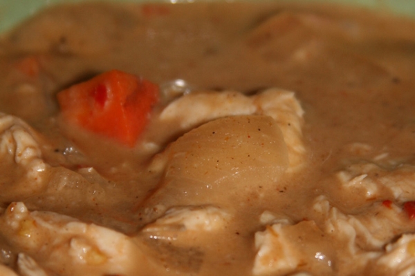 Thai Masaman Curry (Photo by Spicy Bear/flickr)