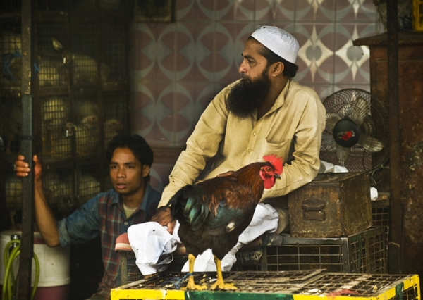 A vendor awaits customers in his roadside chicken stand in New Delhi, India, on November 14, 2009. (Nancy A. Scherl)