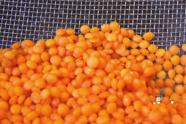 Red Lentils (Photo by molamoni/flickr