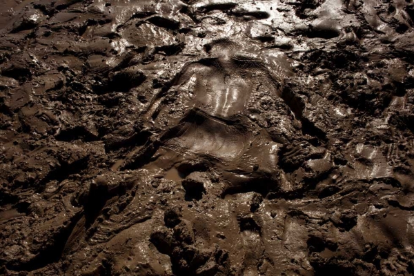 A human imprint on the muddy banks of the Syr Darya near Kyzylorda, Kazakhstan. From "Two Rivers." (Carolyn Drake)
