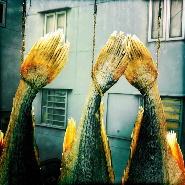 Fish hung out to dry in Tai O village. (Palani Mohan) 
