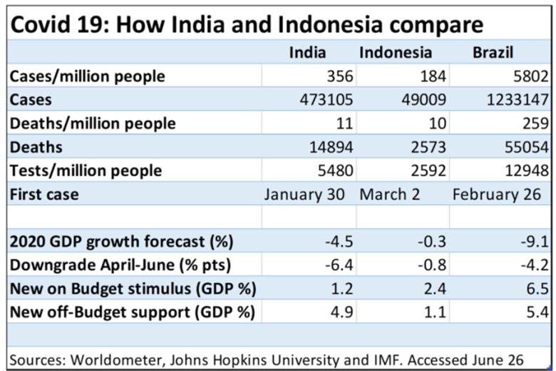 AB #28 - India and Indonesia COVID comparison