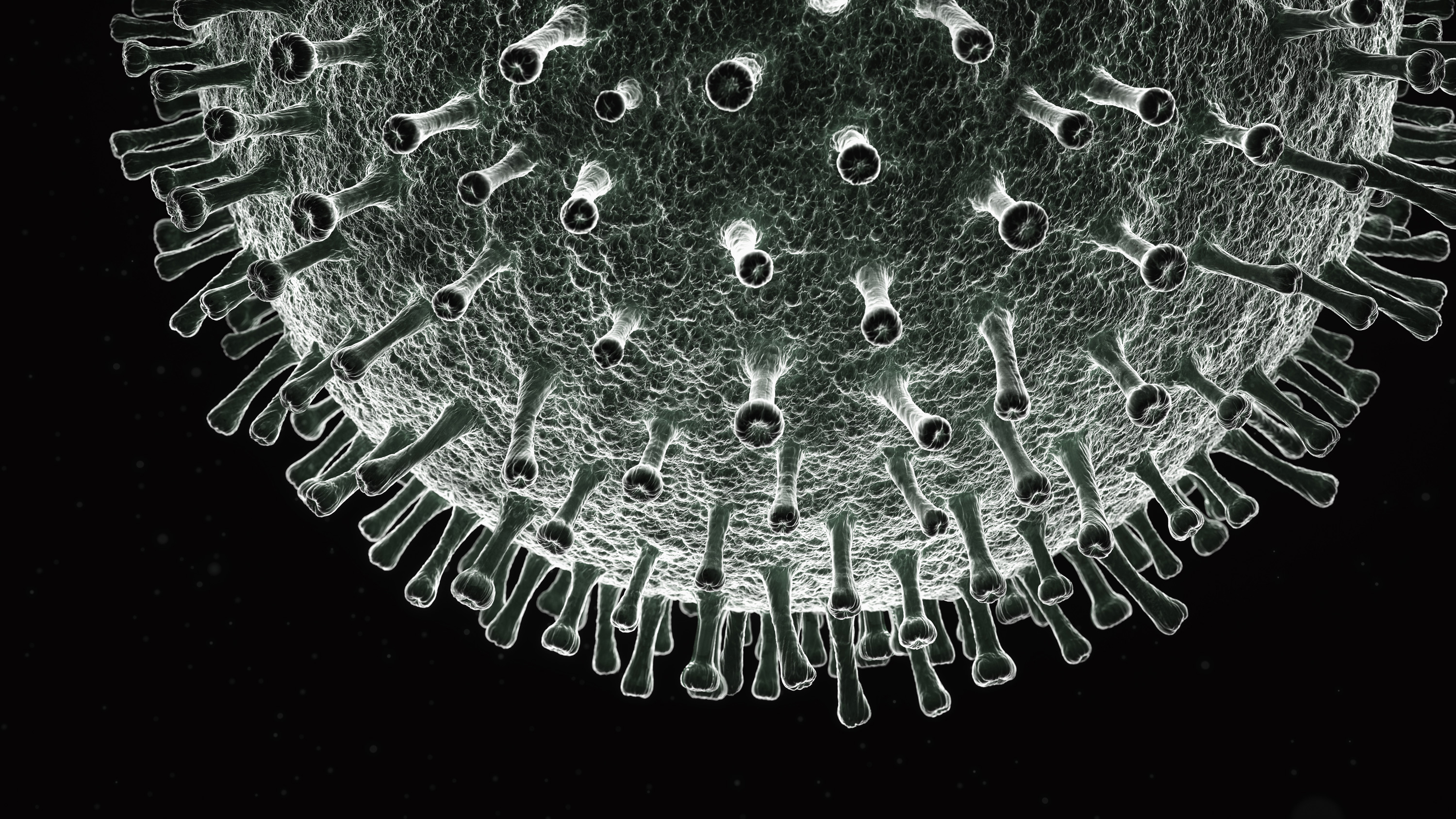 COVID-19 Virus Under the Microscope